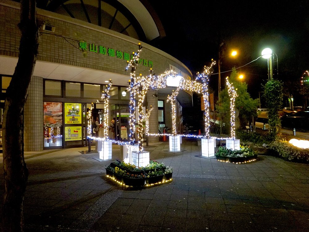 Festival des Lumières